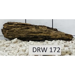 Dragonwood 172
