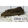 Dragonwood 172