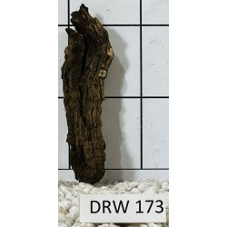 Dragonwood 173