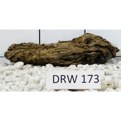 Dragonwood 173