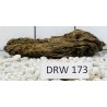 Dragonwood 173