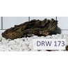 Dragonwood 173