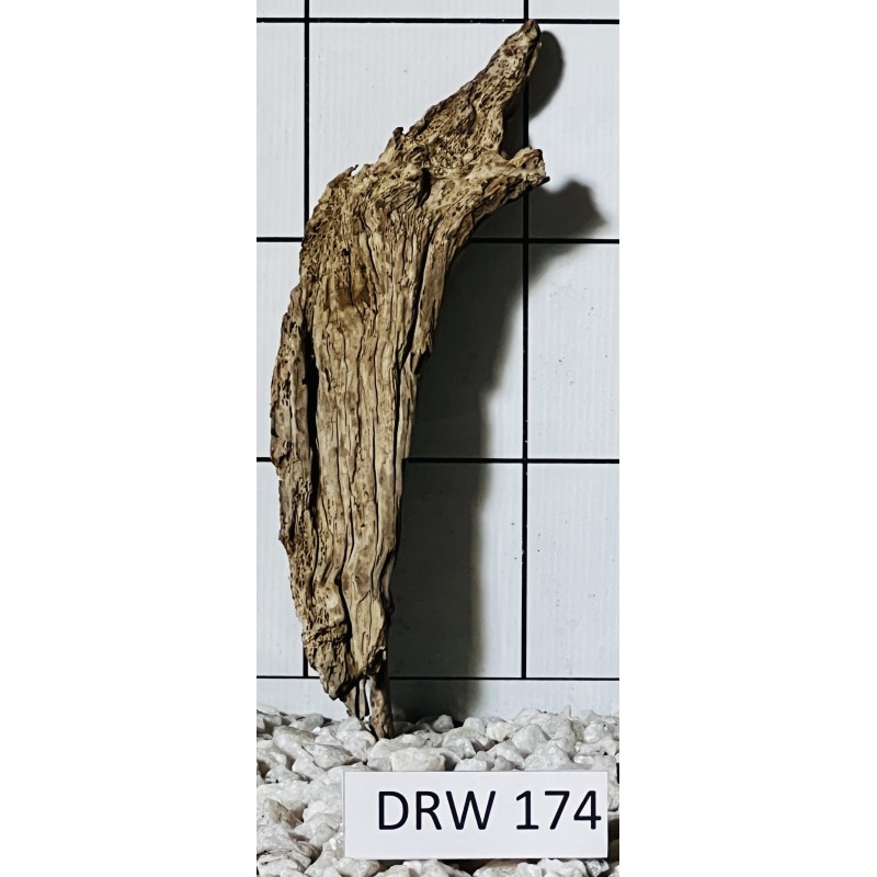 Dragonwood 174