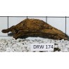 Dragonwood 174