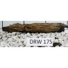 Dragonwood 175