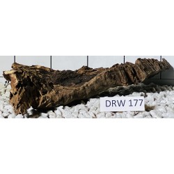 Dragonwood 177
