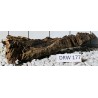 Dragonwood 177
