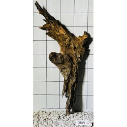 Dragonwood 179