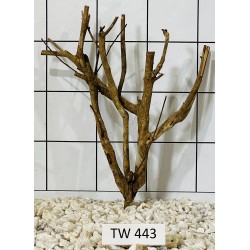 Talawawood 443