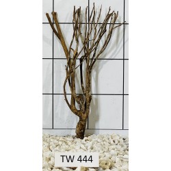 Talawawood 444