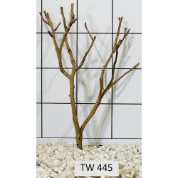 Talawawood 445