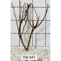 Talawawood 447