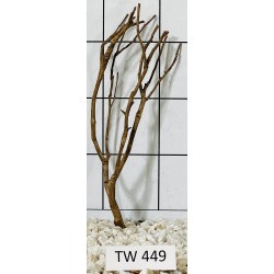 Talawawood 449