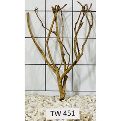 Talawawood 451