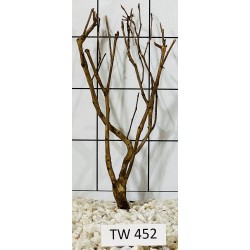 Talawawood 452