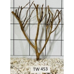 Talawawood 453