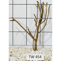 Talawawood 454