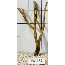 Talawawood 457