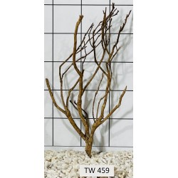 Talawawood 459