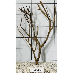 Talawawood 460