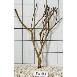 Talawawood 461