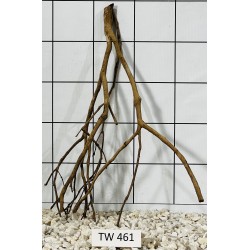 Talawawood 461