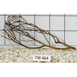 Talawawood 464