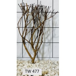 Talawawood 477