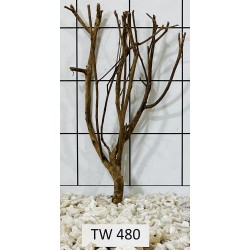 Talawawood 480