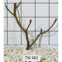 Talawawood 482