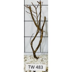 Talawawood 483