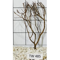 Talawawood 485