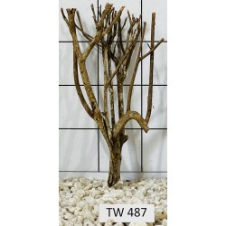 Talawawood 487