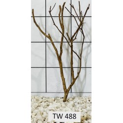 Talawawood 488