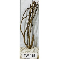 Talawawood 489