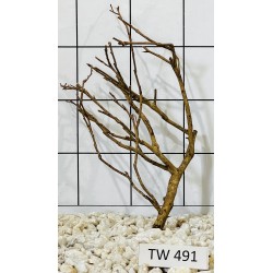 Talawawood 491