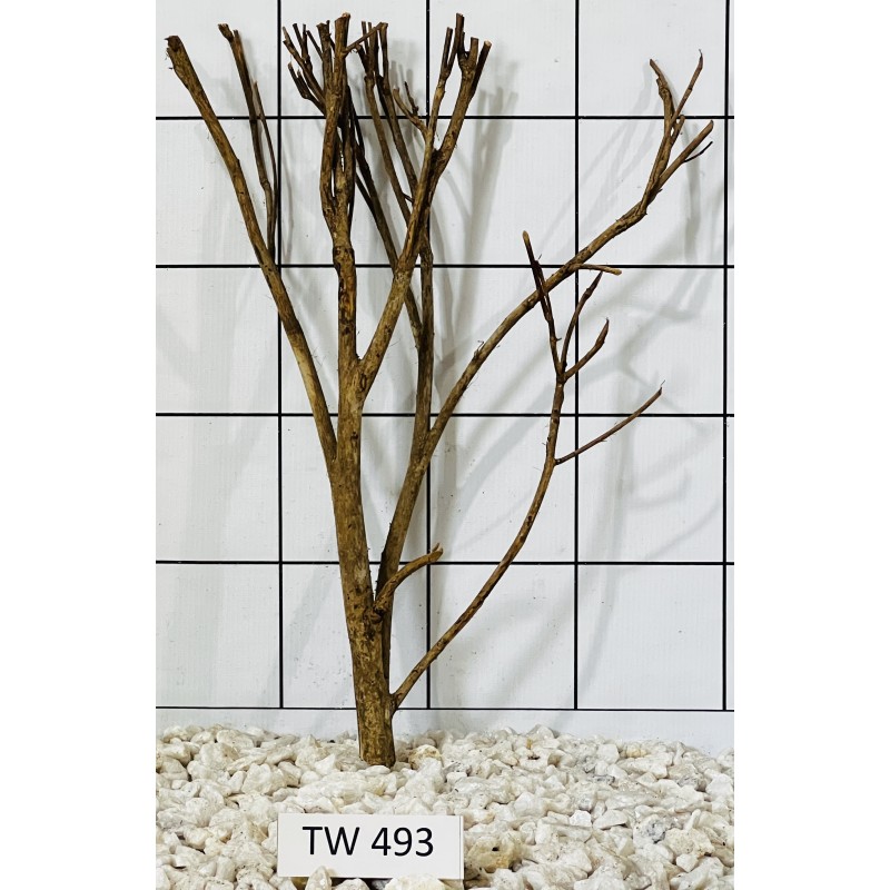 Talawawood 493