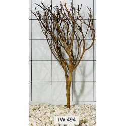 Talawawood 494