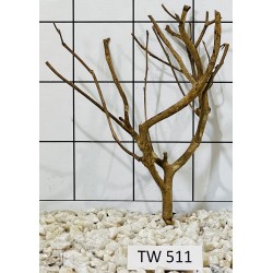 Talawawood 511