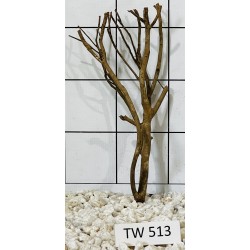 Talawawood 513