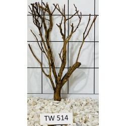 Talawawood 514