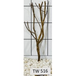 Talawawood 516