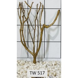 Talawawood 517