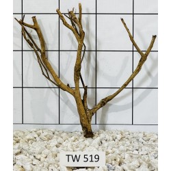 Talawawood 519