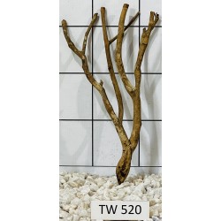 Talawawood 520