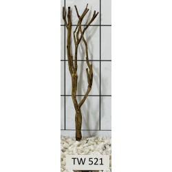 Talawawood 521