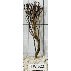 Talawawood 522
