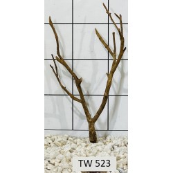 Talawawood 523
