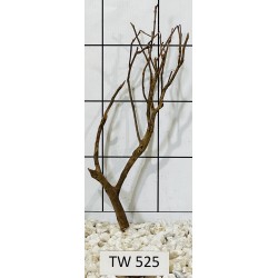 Talawawood 525