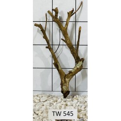 Talawawood 545